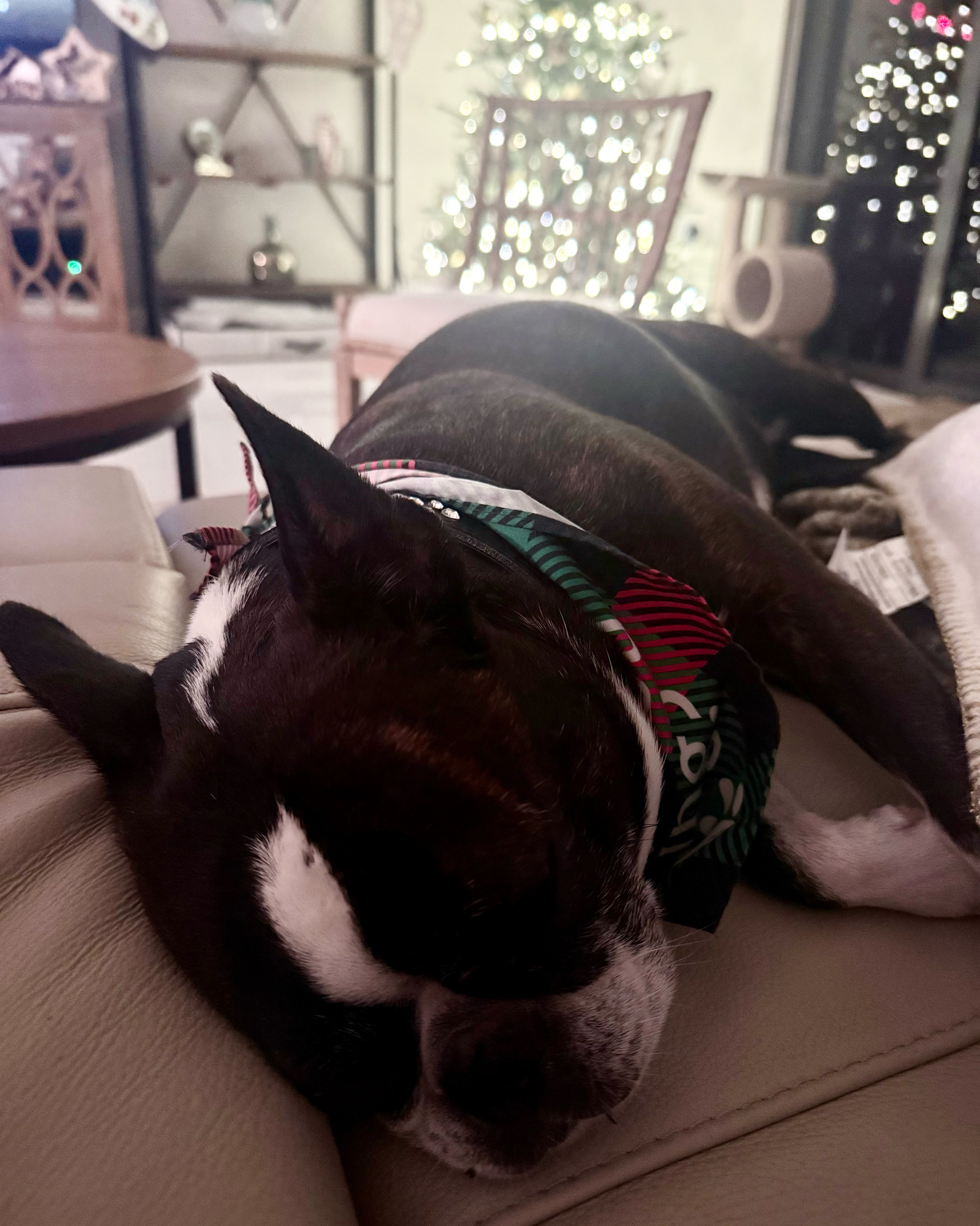 About BCP Adelaide OZ Fund, LLC